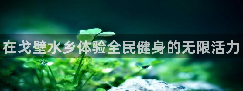 尊龙,人生就是搏：在戈壁水乡体验全民健身的无限活力