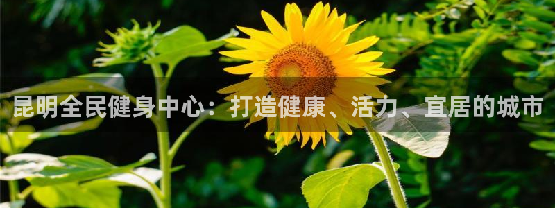 尊龙凯时人生就是搏z6com：昆明全民健身中心：打造健康