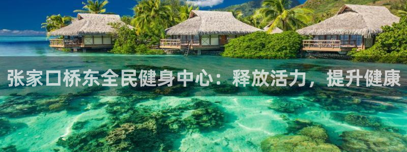 尊龙凯时平台怎么样：张家口桥东全民健身中心：释放活力，提