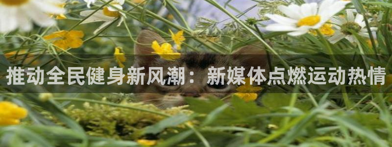 尊龙凯时ag旗舰：推动全民健身新风潮：新媒体点燃运动热情