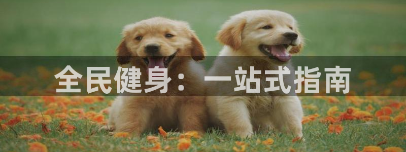 尊龙400：全民健身：一站式指南