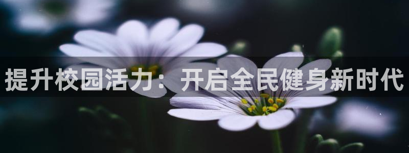 国际凯时ag优质运营商：提升校园活力：开启全民健身新时代