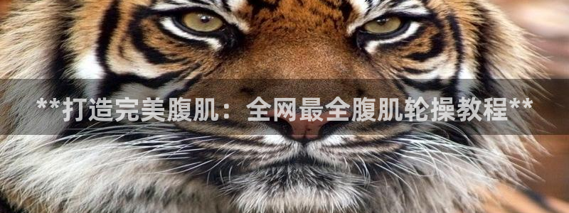 尊龙凯时v7要冲多少：**打造完美腹肌：全网最全腹肌轮操