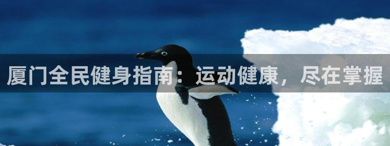 凯时官网的售后服务：厦门全民健身指南：运动健康，尽在掌握