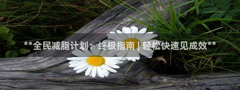 尊龙人生就要博旧版：**全民减脂计划：终极指南 | 轻松