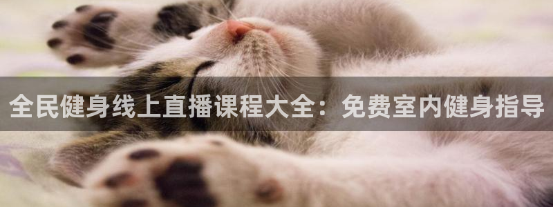 凯时最新官方APP下载：全民健身线上直播课程大全：免费室