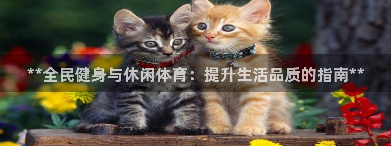 尊龙人生就是博官：**全民健身与休闲体育：提升生活品质的