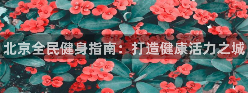 尊龙凯时平台有没有不到账的：北京全民健身指南：打造健康活