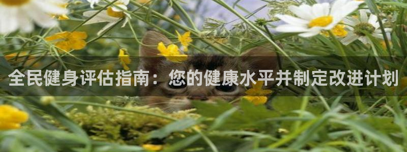 z6尊龙凯时集团：全民健身评估指南：您的健康水平并制定改