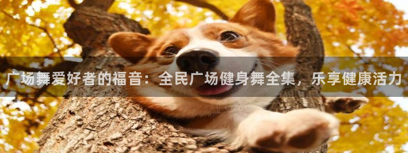 尊龙z6官网ag：广场舞爱好者的福音：全民广场健身舞全集