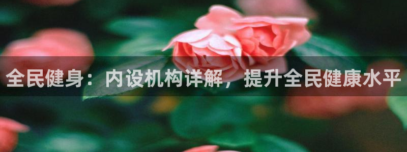 凯时国际娱乐官方网址：全民健身：内设机构详解，提升全民健
