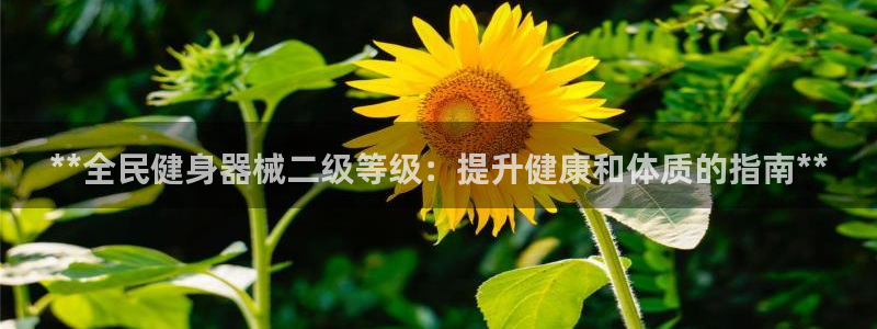 尊龙凯时有封银行卡的吗：**全民健身器械二级等级：提升健
