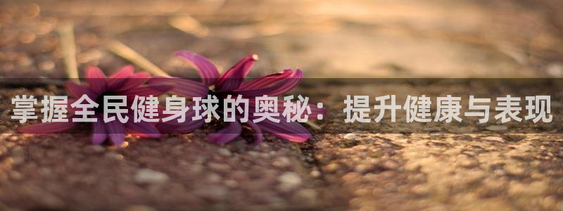 尊龙现金娱乐 下载：掌握全民健身球的奥秘：提升健康与表现