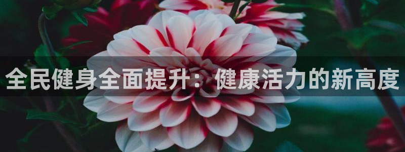 z6尊龙官网平台下载：全民健身全面提升：健康活力的新高度