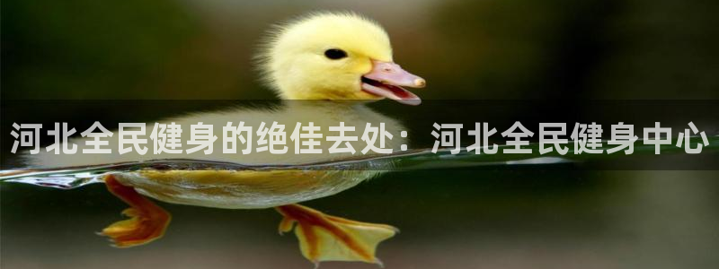 凯时ag旗舰厅登录：河北全民健身的绝佳去处：河北全民健身