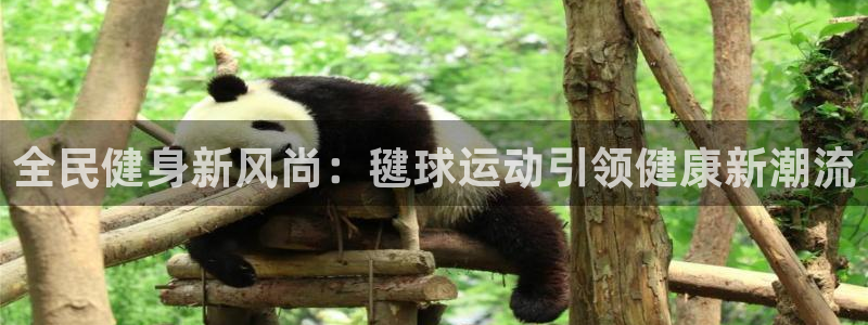 尊龙品牌怎么样：全民健身新风尚：毽球运动引领健康新潮流