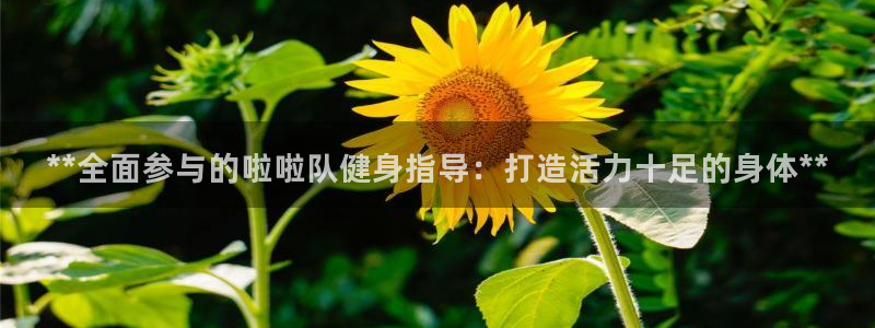 尊龙凯时麻将胡了：**全面参与的啦啦队健身指导：打造活力