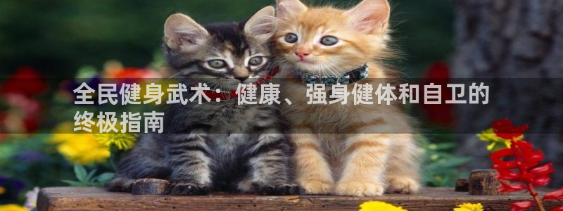 尊龙人生就要博旧版：全民健身武术：健康、强身健体和自卫的