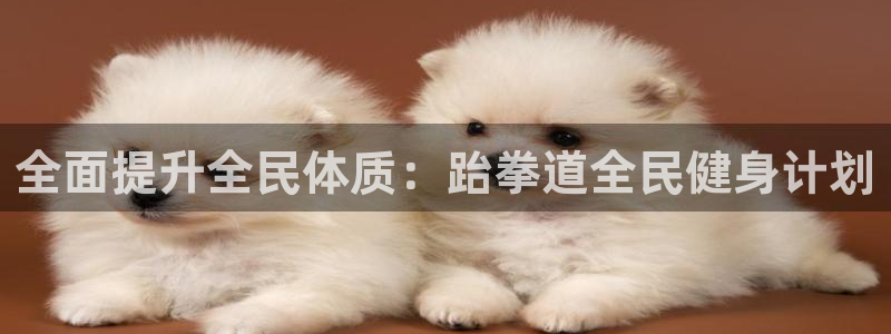 尊龙凯时充十万返现多少：全面提升全民体质：跆拳道全民健身
