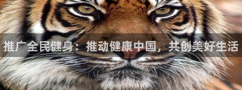 凯时k66会员登录：推广全民健身：推动健康中国，共创美好