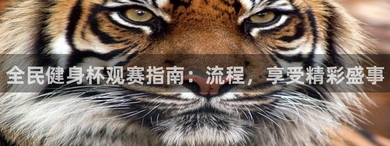 尊龙新版App下载：全民健身杯观赛指南：流程，享受精彩盛