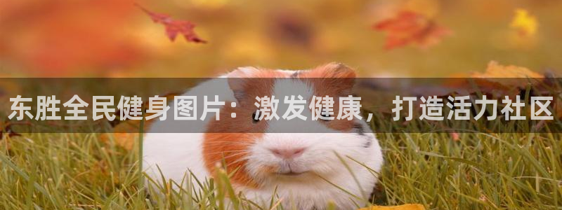 尊龙信息科技有限公司：东胜全民健身图片：激发健康，打造活