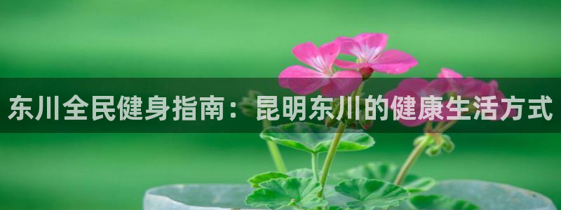 z6尊龙平台是哪里的：东川全民健身指南：昆明东川的健康生