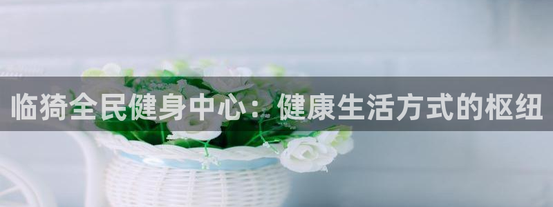 尊龙500价格：临猗全民健身中心：健康生活方式的枢纽