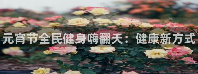 尊龙app下载官网：元宵节全民健身嗨翻天：健康新方式