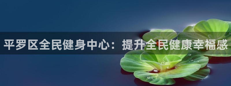 凯时官网联系方式：平罗区全民健身中心：提升全民健康幸福感