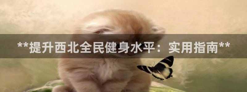 尊龙凯时vip：**提升西北全民健身水平：实用指南**