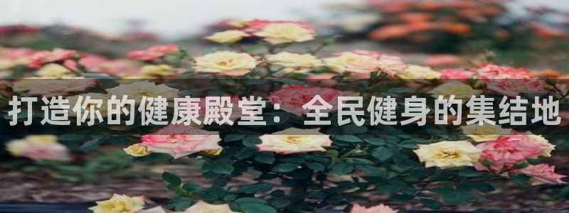 尊龙 国外：打造你的健康殿堂：全民健身的集结地