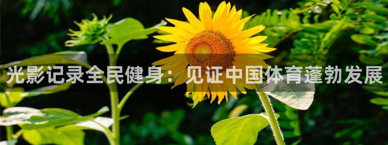 尊龙500价格：光影记录全民健身：见证中国体育蓬勃发展