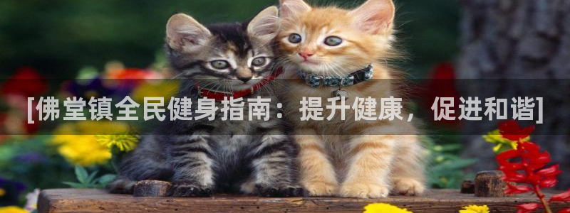 尊龙一人生就是搏：[佛堂镇全民健身指南：提升健康，促进和
