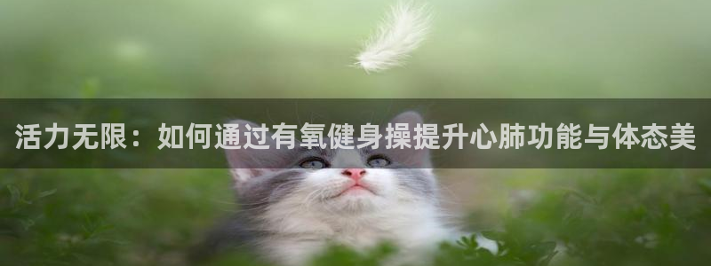 尊龙官网