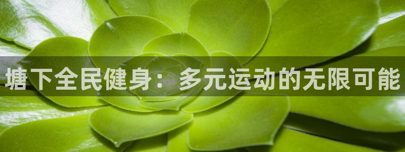 尊龙凯时人生就是搏·(中国)官网