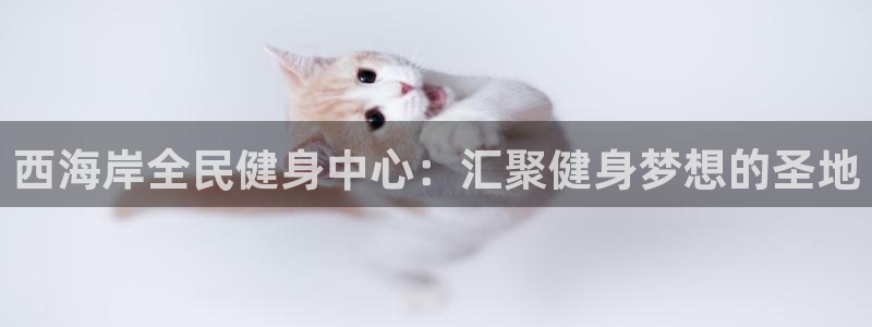 凯时app官方首页