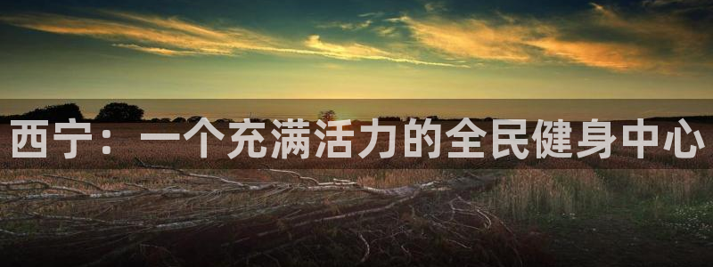尊龙d88手机app免费下载