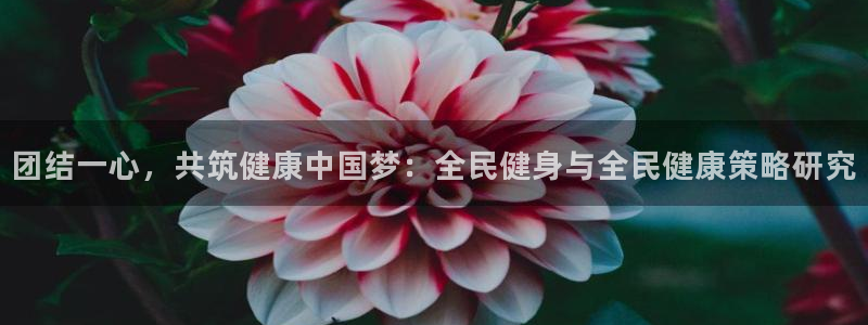 凯时官网手机版下载
