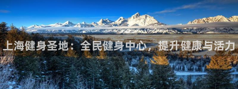 尊龙体育电竞官网：上海健身圣地：全民健身中心，提升健康与活力