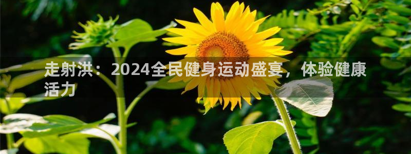 ag尊龙凯时俱乐部：走射洪：2024全民健身运动盛宴，体