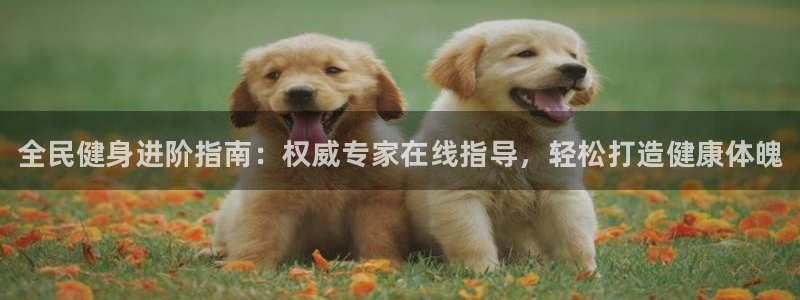 尊龙网站下分慢：全民健身进阶指南：权威专家在线指导，轻松